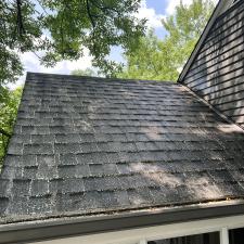 Professional-Belmont-Roof-Cleaning 0